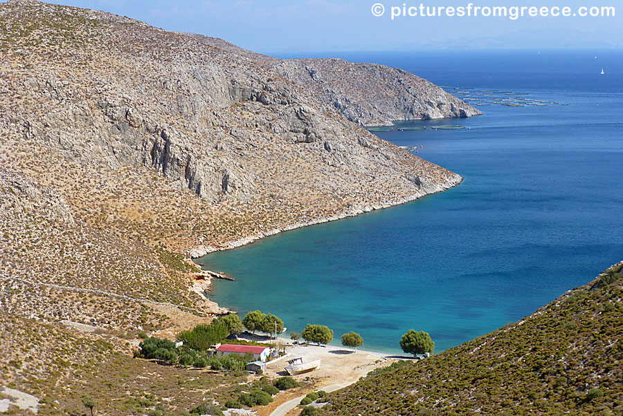 Akti is a small nice beach with good taverna between Pothia and Vathy in Kalymnos.