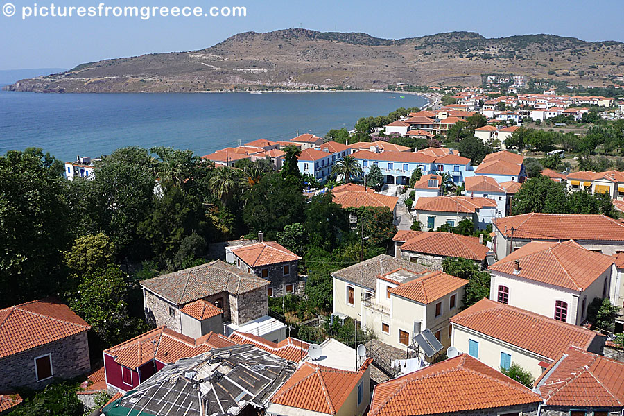 Petra is a nice tourist resort between Molyvos and Anaxos in Lesvos.