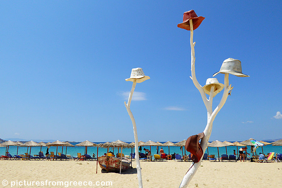 The hat tree at Plaka beach in Naxos.