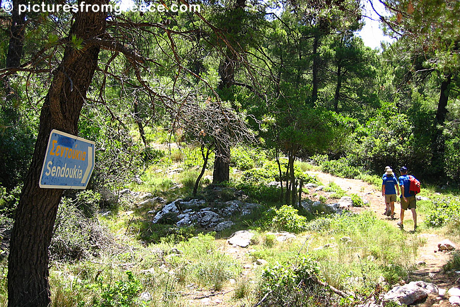 The ancient graves of Sendoukia in Skopelos.