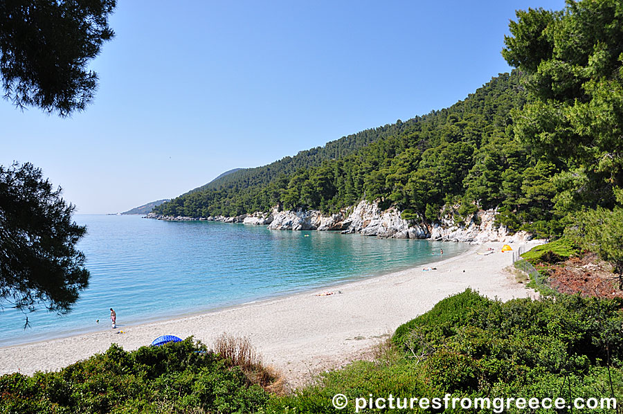 Kastani beach (Mamma Mia beach) in Skopelos
