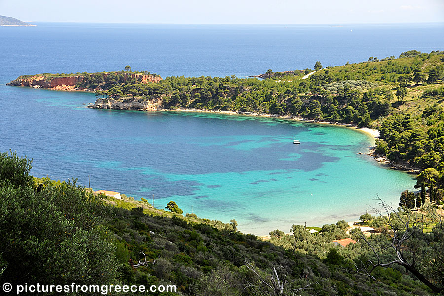 Tzortzi Gialos is narrow beach with wonderful water between Chrisi Milia and Kokinokastro in Alonissos.