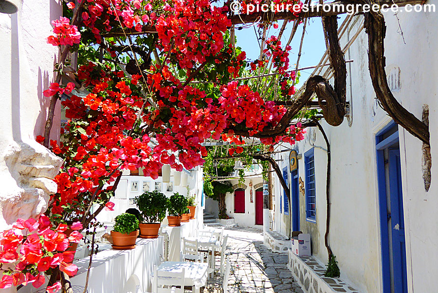Chora in Amorgos is a very genuine village about five kilometers from Katapola.