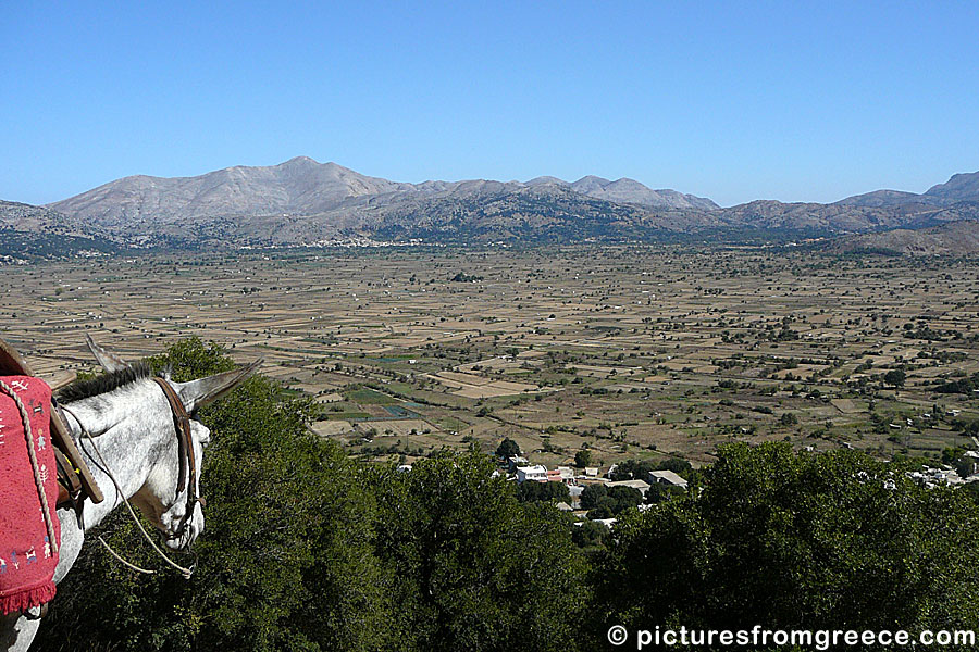Lasithi plateau in Crete.