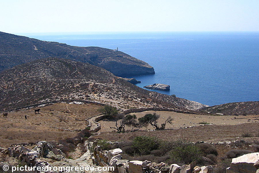 Folegandros is famous for its beautiful hikings. One of the best walks goes to Livadaki beach.