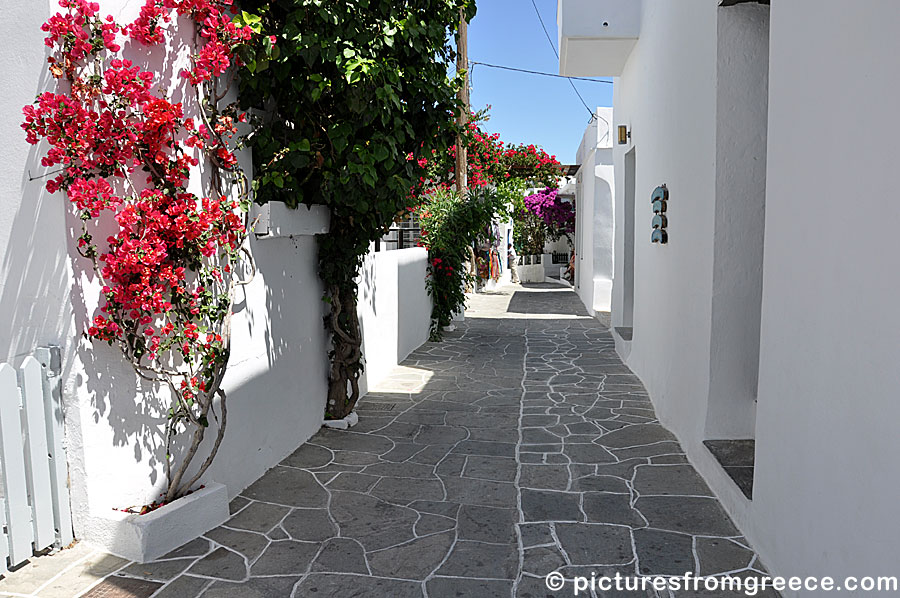 From beautiful Apollonia, there are buses to all of Sifnos.