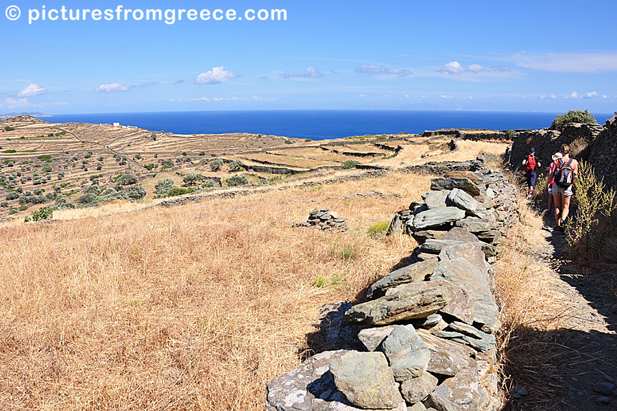 Sifnos is one of the best islands in the Cyclades for those who like to hike along the ancient donkey paths.