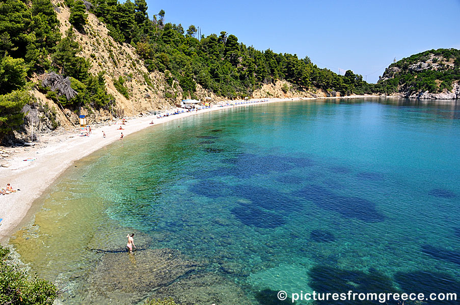 Stafilos is a narrow beach with beautiful surroundings about five kilometers from Skopelos town.
