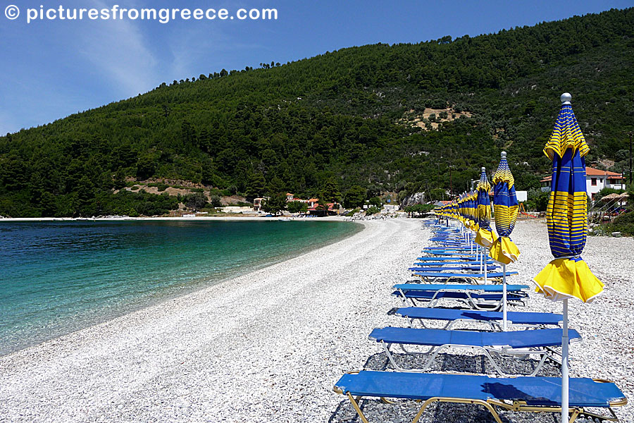 Panormos beach in Skopelos.